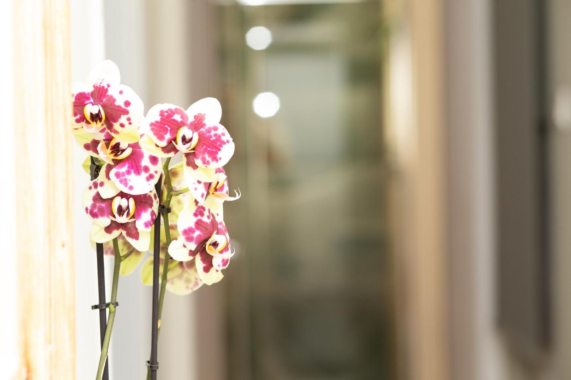 Prestige Penthouse - Breathtaking Parthenon Views In Plaka Apartment Athens Exterior photo